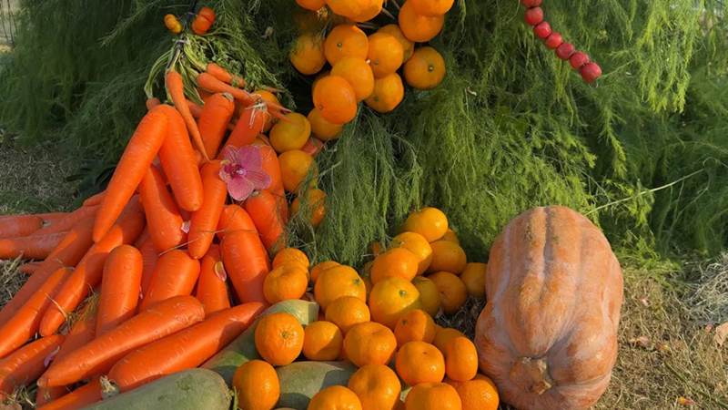 زفاف صديق للبيئة: المحاصيل بدلا من الورود والهدايا جاهزة للالتقاط