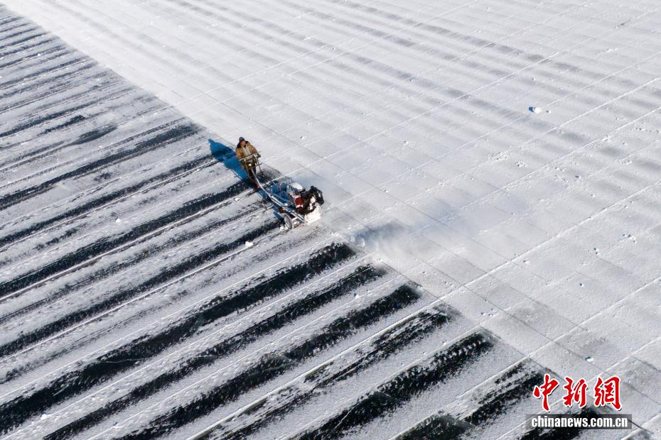 في هاربين... العمّال يتوافدون على محاجر الجليد قبل انطلاق مهرجان النحت