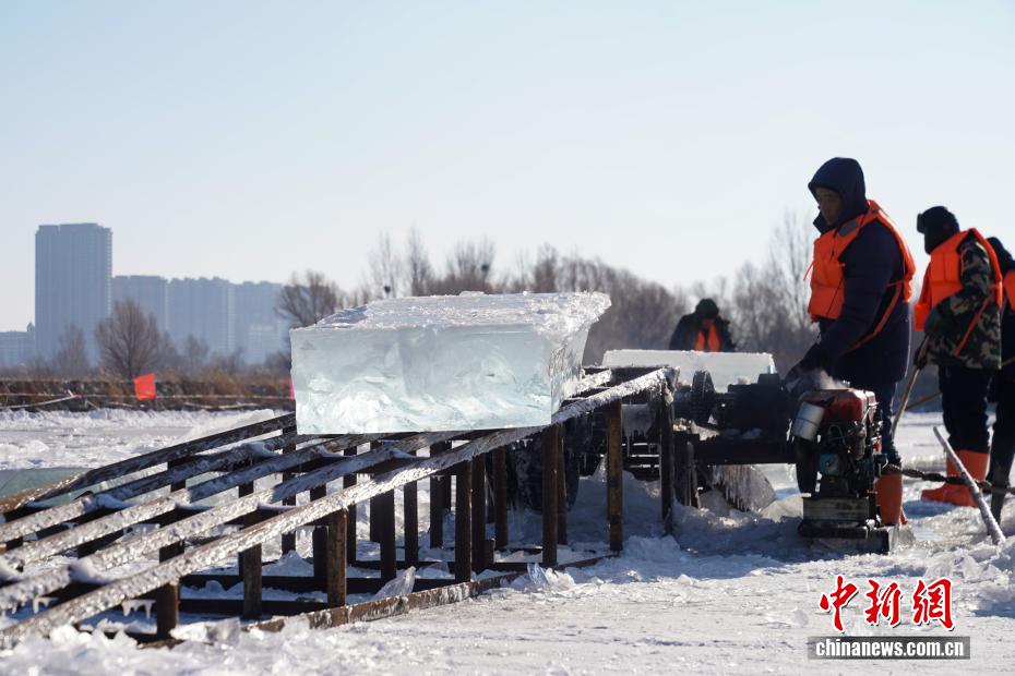 في هاربين... العمّال يتوافدون على محاجر الجليد قبل انطلاق مهرجان النحت