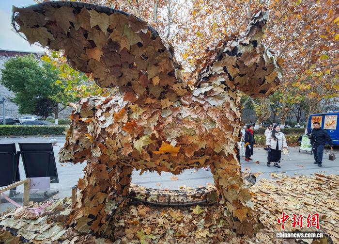 أوراق شجر الجميز المتساقطة في شوارع نانجينغ تخلق أجواءً فريدة ورومانسية