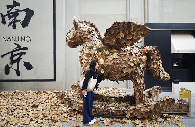 أوراق شجر الجميز المتساقطة في شوارع نانجينغ تخلق أجواءً فريدة ورومانسية