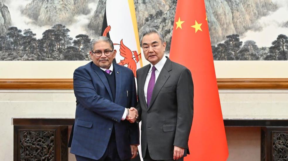 وزير الخارجية الصيني: الصين تعتزم العمل مع الآسيان على مواءمة استراتيجيات التنمية ومقاومة التنمر أحادي الجانب