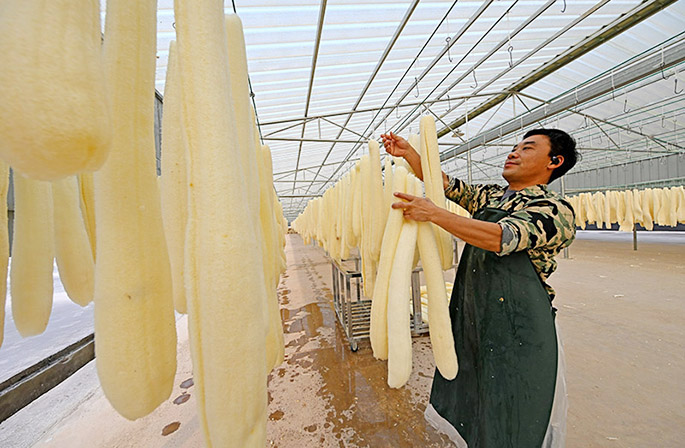 الليف، نبتة صغيرة تصبح صناعة قوية في جيانغشي