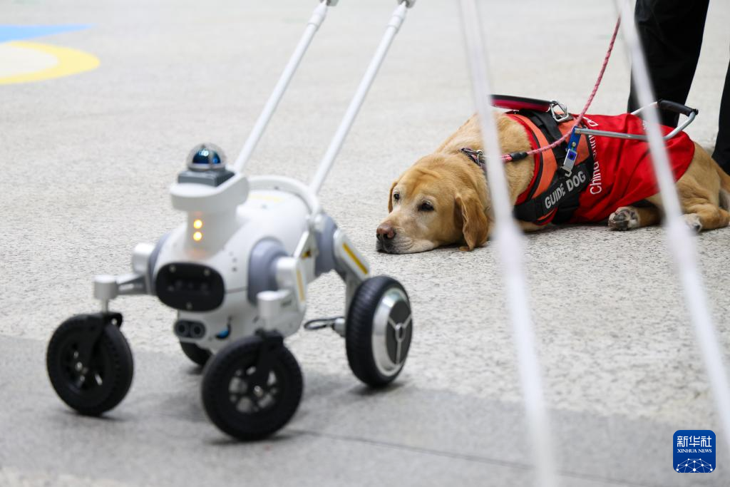 مترو شنتشن يستعين بكلب روبوتي لمرافقة الركاب المكفوفين