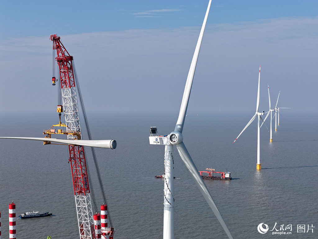 الصين تربط أبعد مشروع لطاقة الرياح البحرية بشبكة الكهرباء
