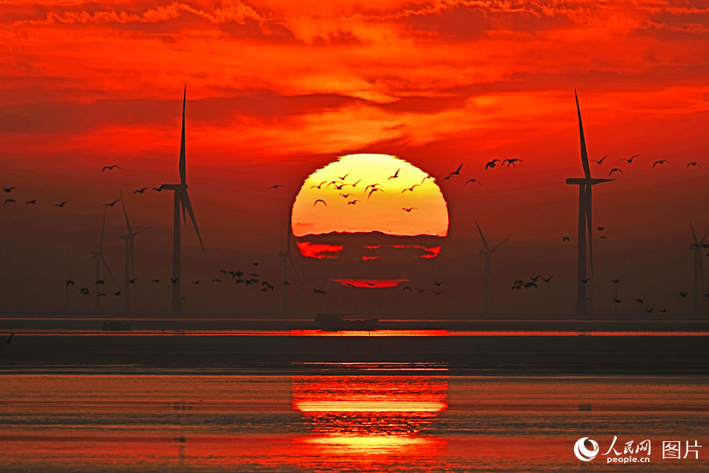 الصين تربط أبعد مشروع لطاقة الرياح البحرية بشبكة الكهرباء