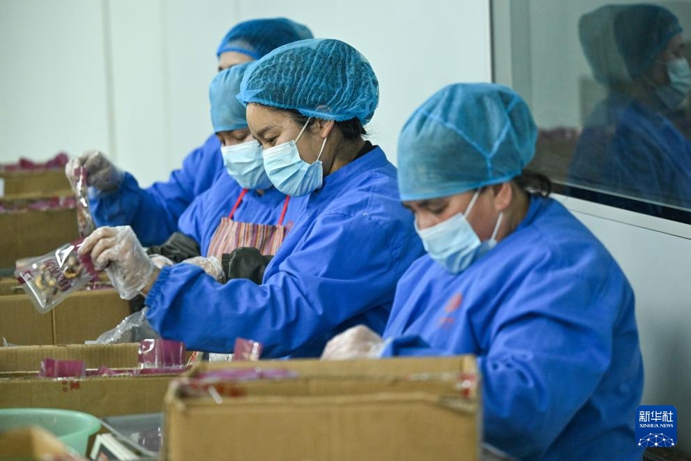 سلع رأس السنة الجديدة من شينجيانغ تشهد ذروة موسم المبيعات