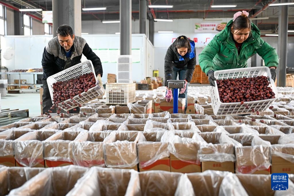 سلع رأس السنة الجديدة من شينجيانغ تشهد ذروة موسم المبيعات