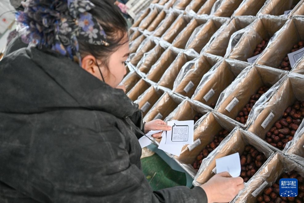 سلع رأس السنة الجديدة من شينجيانغ تشهد ذروة موسم المبيعات