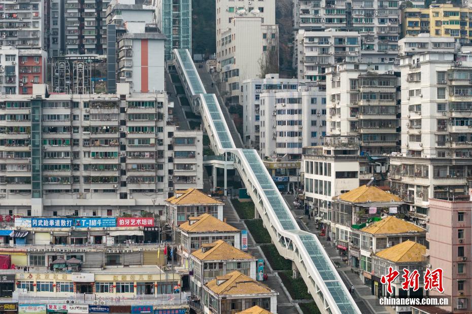 افتتاح السلم المتحرك في تشونغتشينغ بارتفاع رأسي يتجاوز 240 مترا
