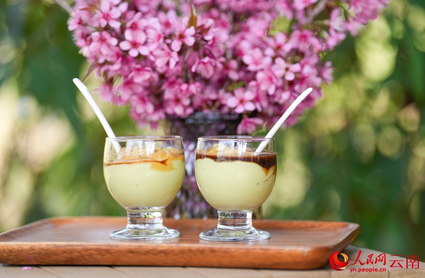 قهوة منغليان تتربع على عرش القهوة عالية الجودة في يوننان بنسبة 71%