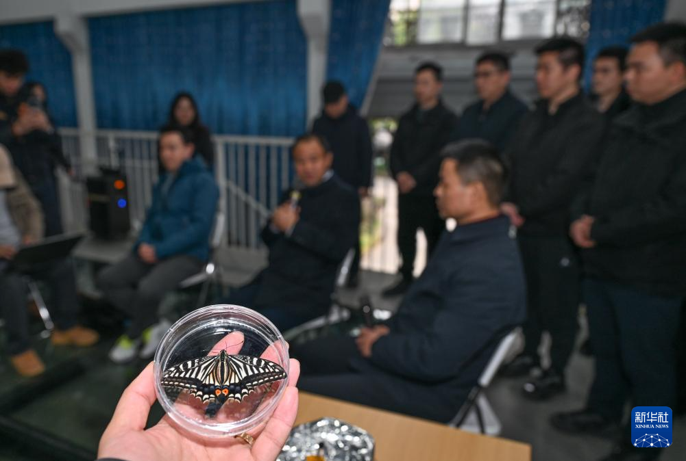 مقالة : تجربة فضائية صينية تشهد خروج فراشة في المدار