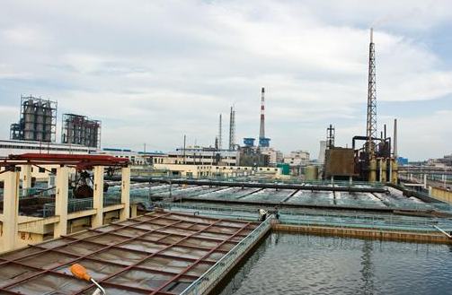 عقد من التحول الأخضر: شركة كيميائية على نهر اليانغتسي تسلك مسار النمو عالي الجودة