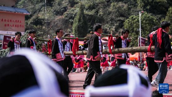 ليوتشي: قومية مياو تحتفل بمهرجان الرقص والزهور