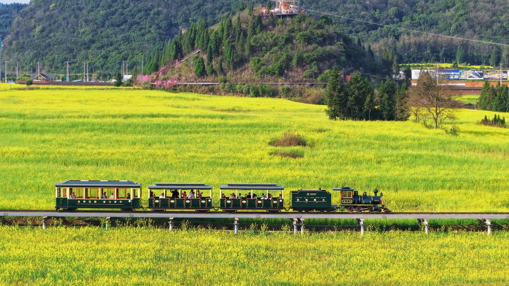 الصورة: مناظر ربيعية خلابة في مقاطعة يوننان بجنوب غربي الصين