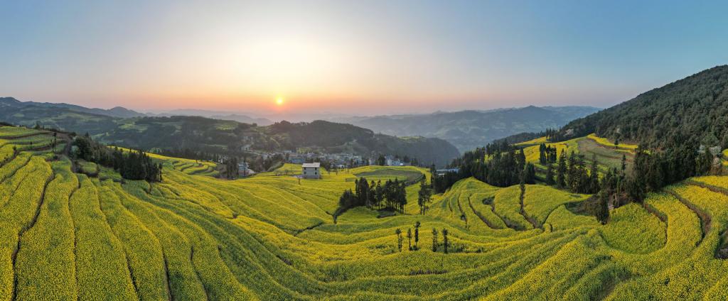 الصورة: مناظر ربيعية خلابة في مقاطعة يوننان بجنوب غربي الصين