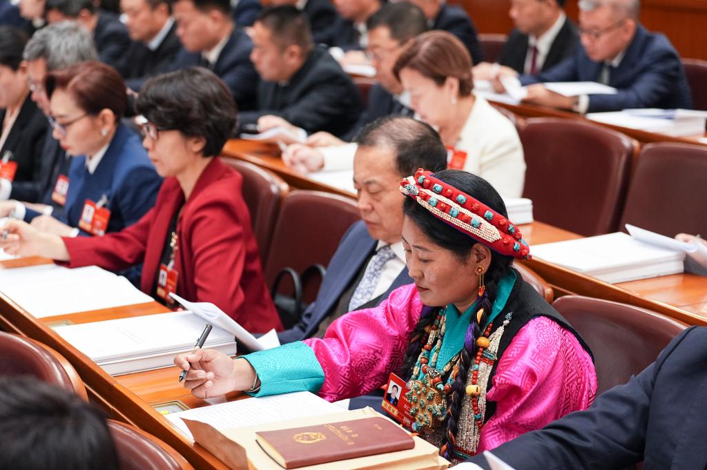 الهيئة التشريعية الوطنية الصينية تفتتح دورتها السنوية