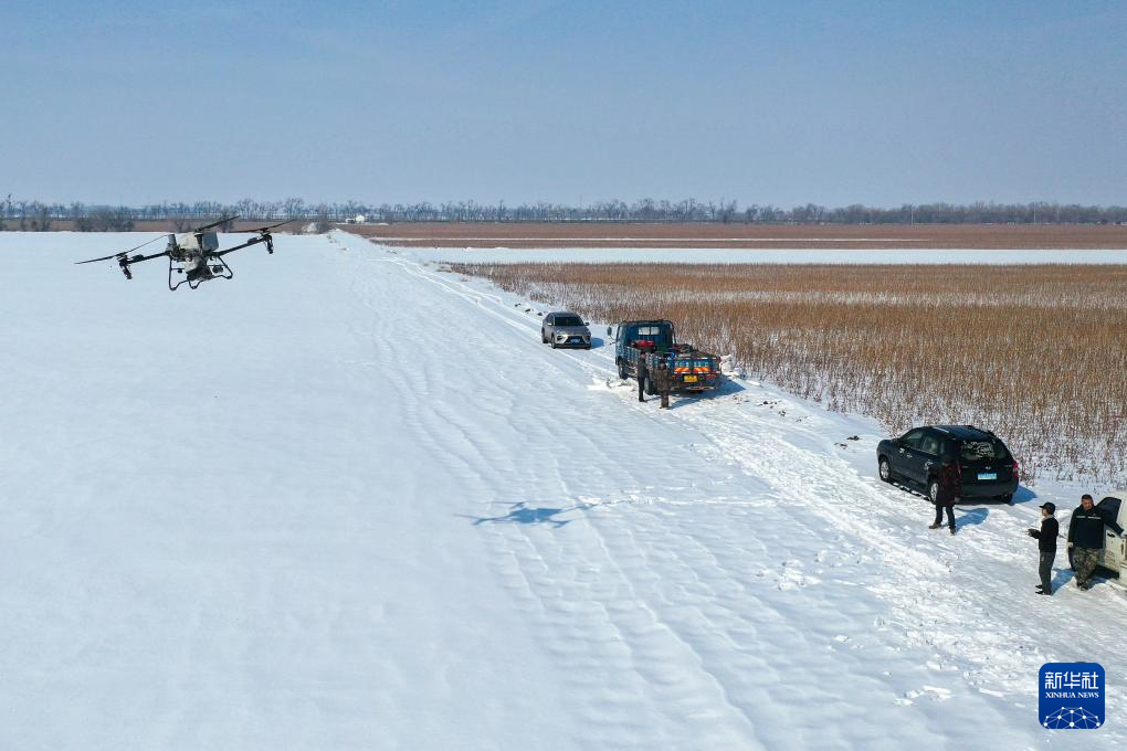 شينجيانغ تعتمد التكنولوجيا لتعزيز الاستعدادات لموسم زراعة الربيع وضمان الإمدادات الزراعية اللازمة