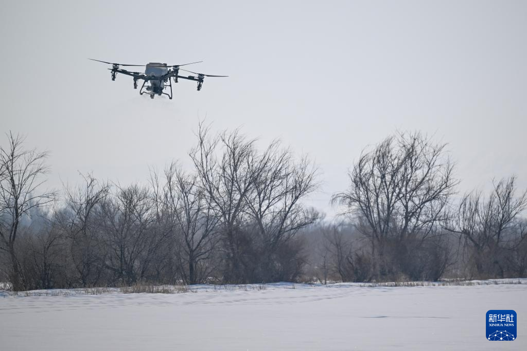 شينجيانغ تعتمد التكنولوجيا لتعزيز الاستعدادات لموسم زراعة الربيع وضمان الإمدادات الزراعية اللازمة