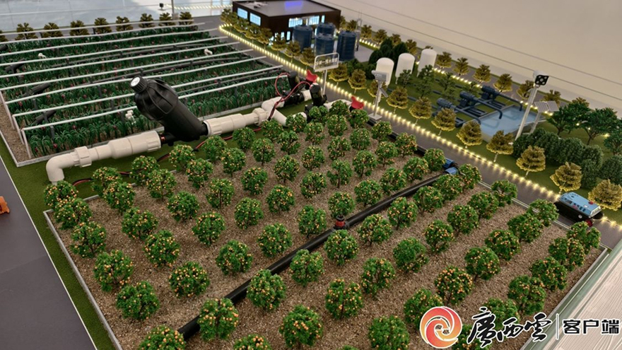 تعليق: "المساعدة التنموية"، تجربة صينية تقدم حلولا جديدة لمكافحة الفقر في العالم