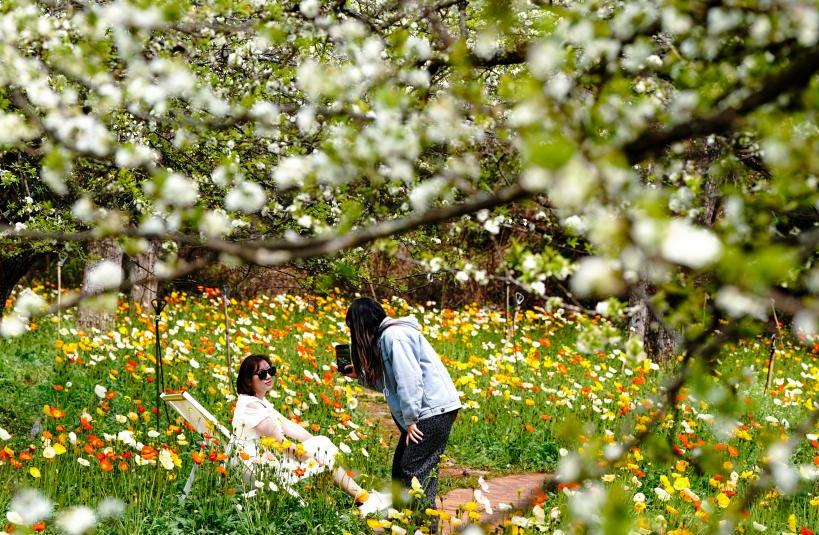 حلول الربيع ينعش السياحة واستهلاك الخضروات الموسمية في الصين