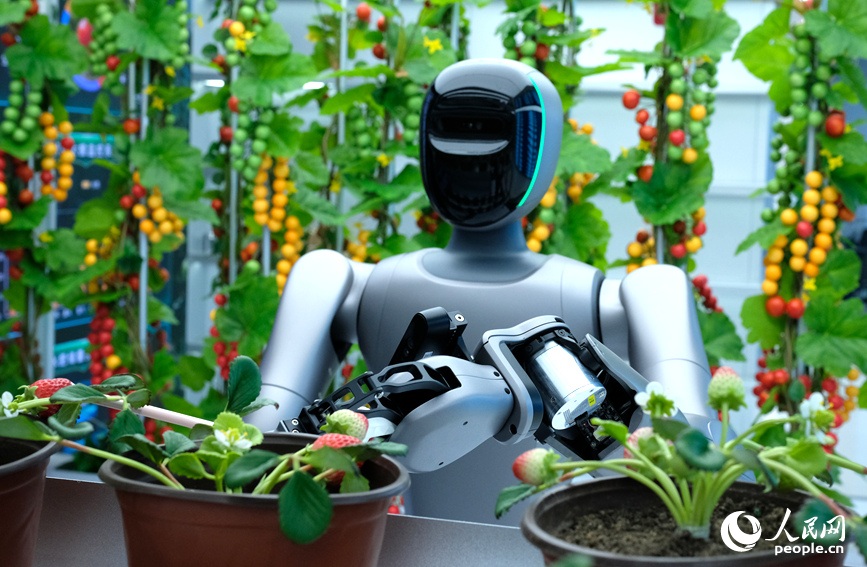 ميدان تدريب الروبوتات في تشنغتشو: تحويل 