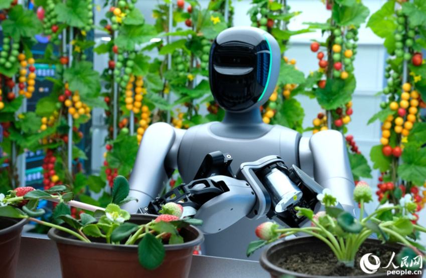 ميدان تدريب الروبوتات في تشنغتشو: تحويل "مبتدئين" إلى "عمال مهرة"