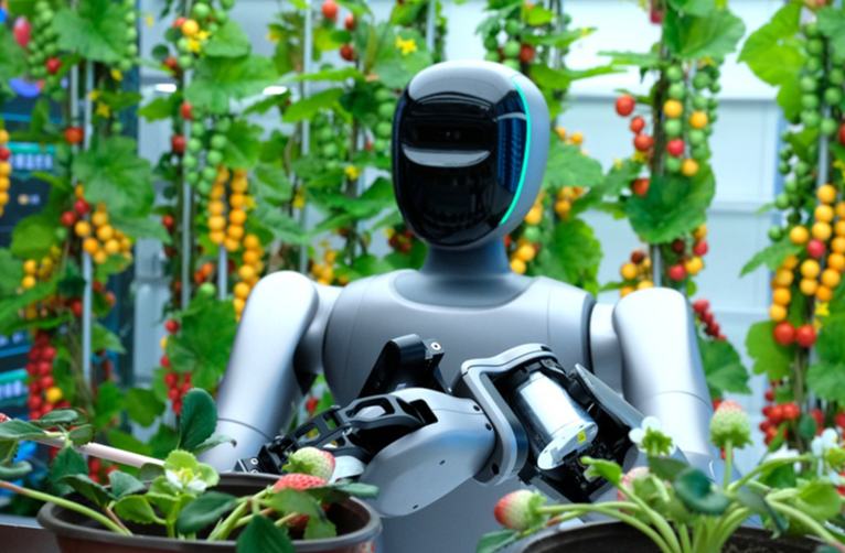 ميدان تدريب الروبوتات في تشنغتشو: تحويل "مبتدئين" إلى "عمال مهرة"