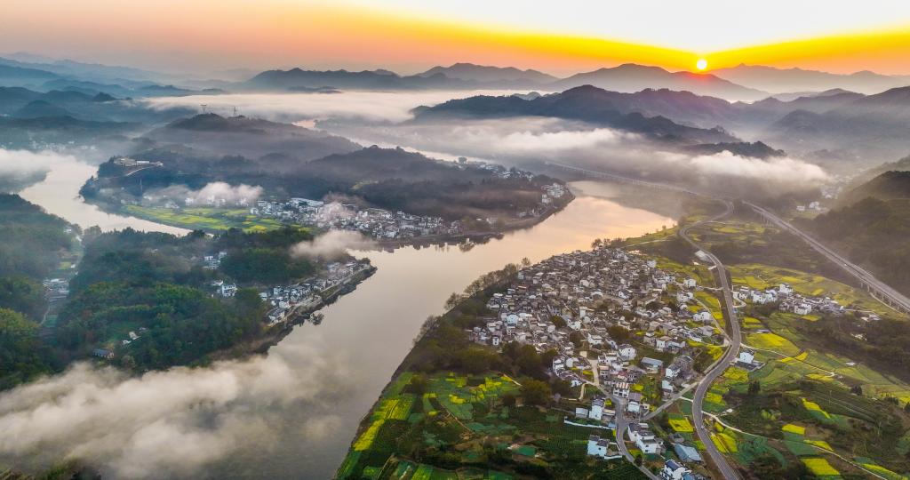 الصورة: أزهار اللفت المتفتحة على ضفاف نهر شينآن بمقاطعة آنهوي شرقي الصين