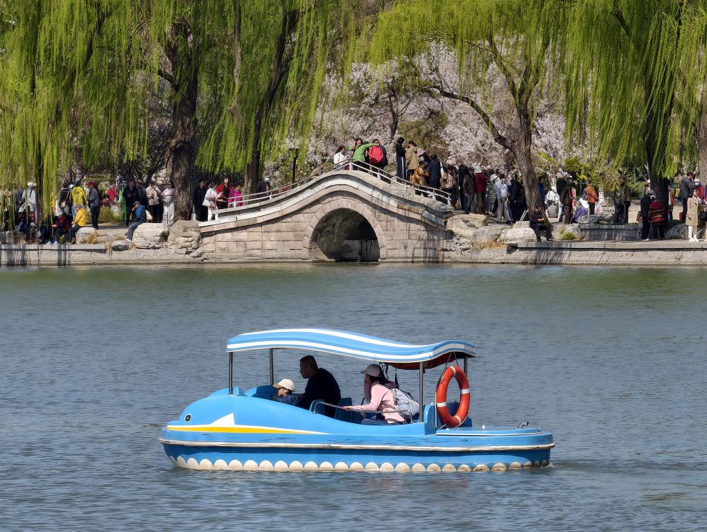 الصورة: تفتح الزهور في العاصمة الصينية بكين