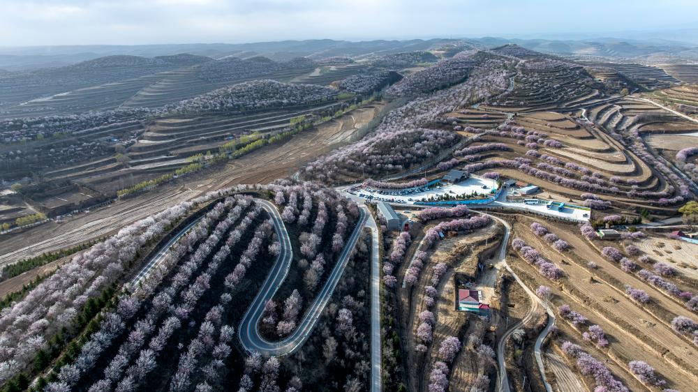 الصورة: مناظر الربيع الخلابة في شمال غربي الصين