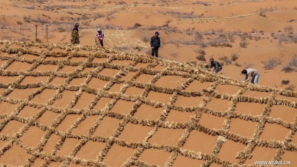 مكافحة التصحر في شمال غربي الصين