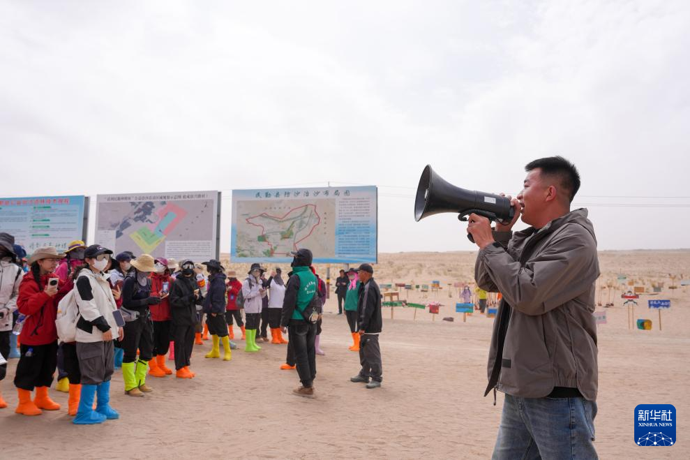 عبر الجبال والبحار.. زراعة الأشجار لحماية البيئة شمال غربي الصين