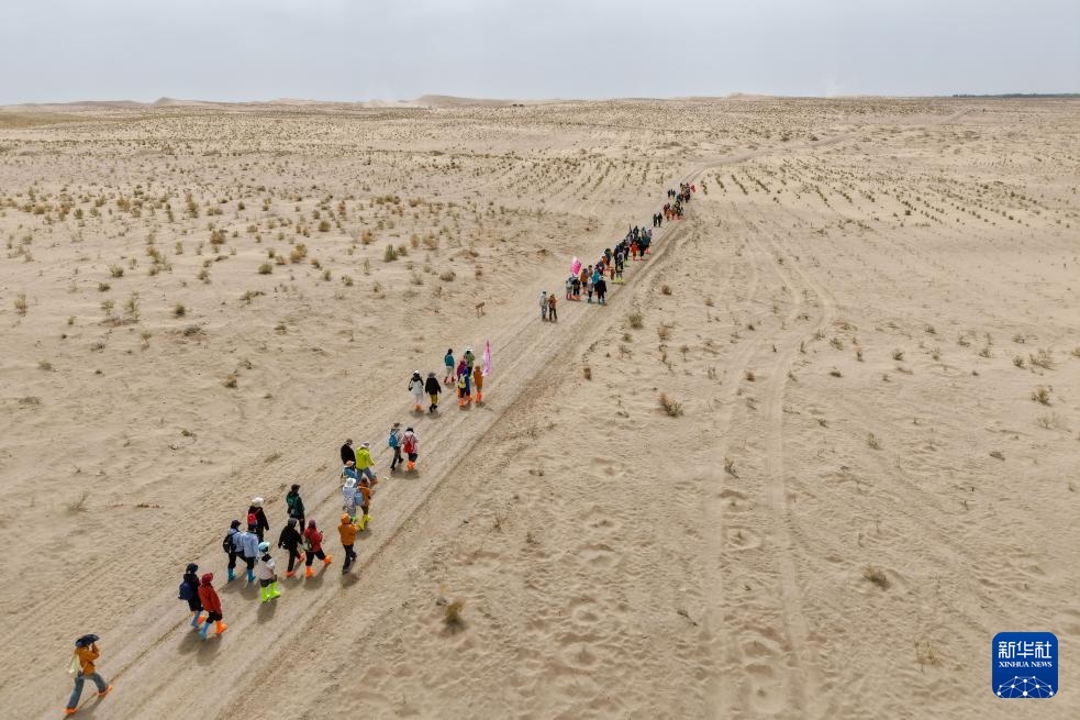 عبر الجبال والبحار.. زراعة الأشجار لحماية البيئة شمال غربي الصين