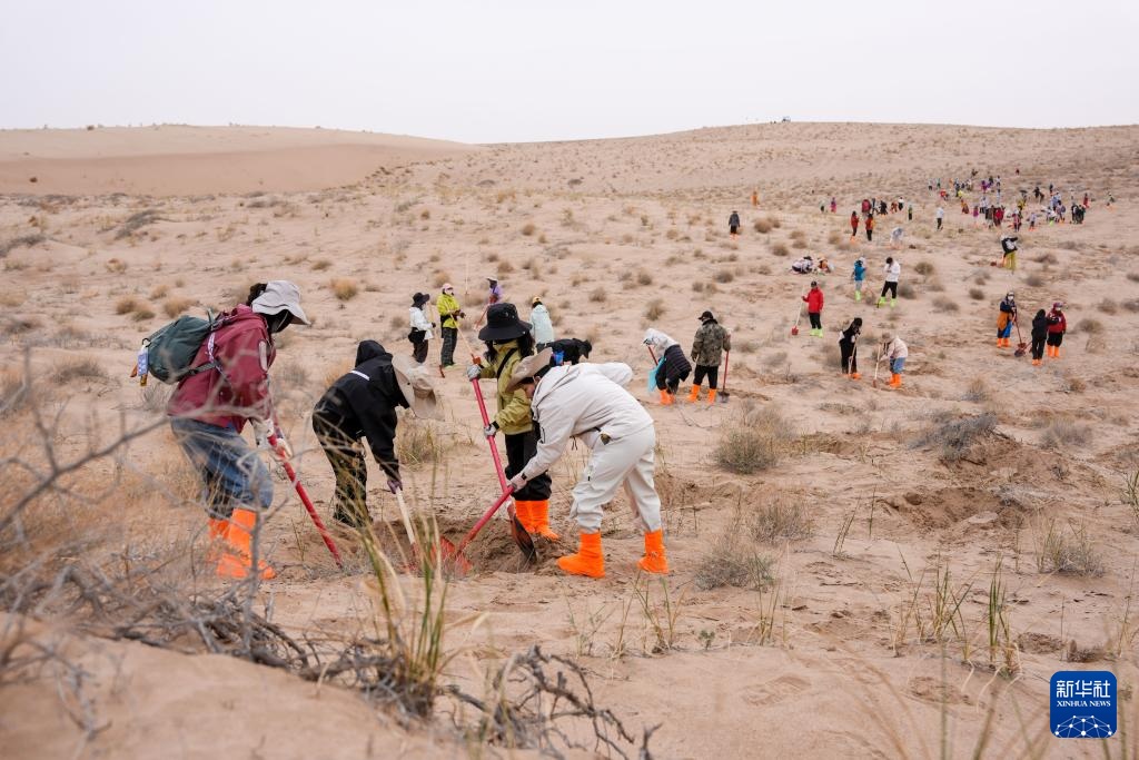 عبر الجبال والبحار.. زراعة الأشجار لحماية البيئة شمال غربي الصين