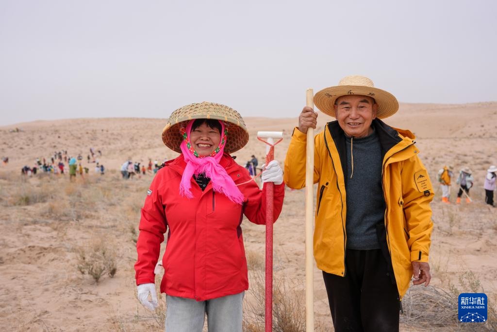 عبر الجبال والبحار.. زراعة الأشجار لحماية البيئة شمال غربي الصين